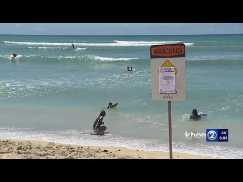 City: Ewa beaches safe after fecal bacteria found in water