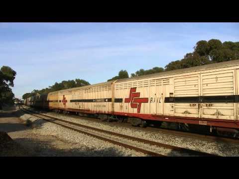 SCT010, SCT011, CSR006 and CSR001 on 6MP9