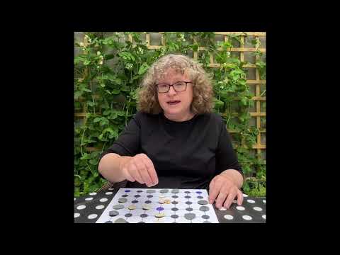 How to make and play the medieval game of Hnefatafl