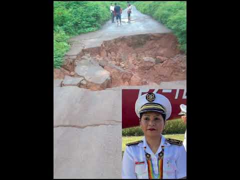 Description or Alt Text