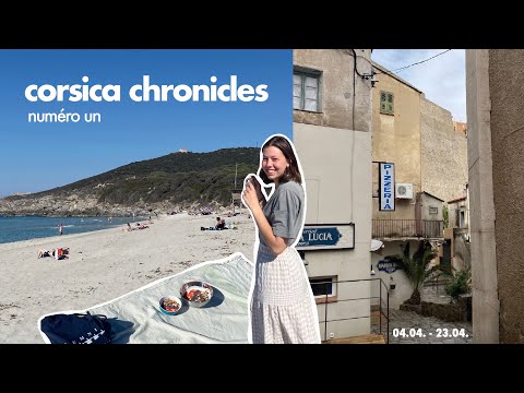 corsica chronicles numéro un / die ersten Wochen in Calvi / vlog