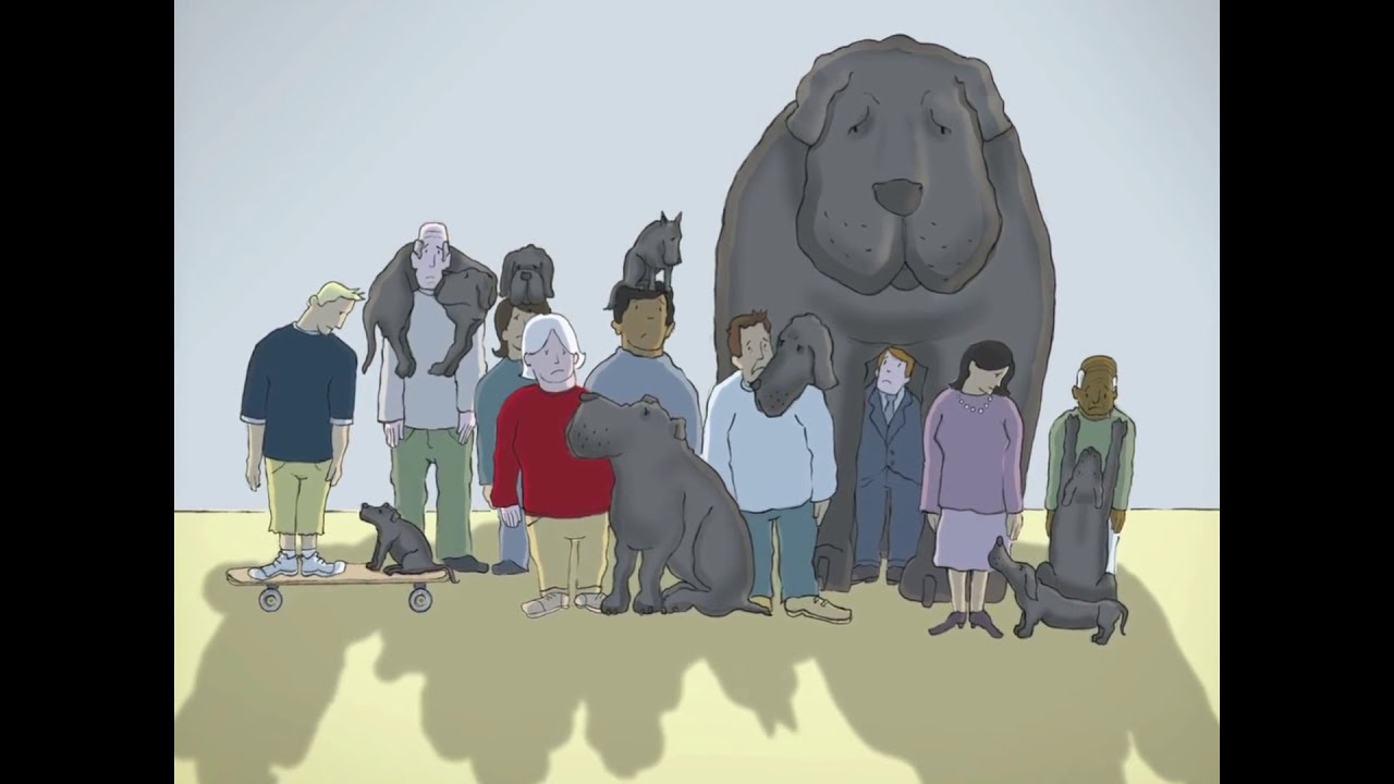 Agnieszka Wieczorkowska-14