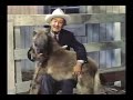 Walt Disney S Stormy The Thoroughbred Season 2 Ep 23