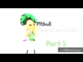 PITBULL TIME OF OUR LIVES MSP MEP OPEN 11 20 PARTS GONE