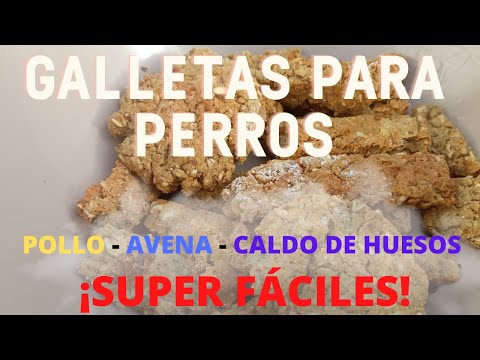 3 Recetas de Galletas Caseras para Perros Saludables