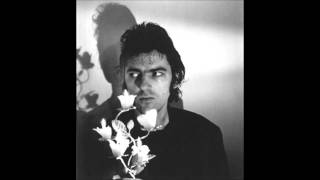 Roky Erickson Haunt (Alternate take)