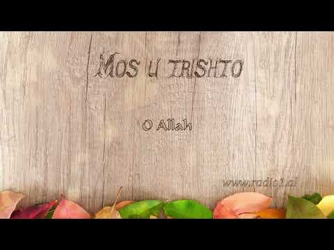 Kjo video do t'ju largojë çdo trishtim!