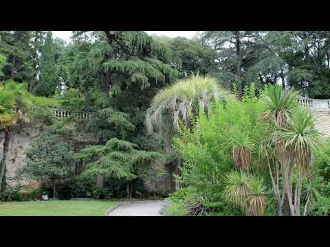 image : Des poules, des canards, des chats .. le jardin des soleiades à Nîmes