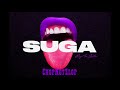 Megan Thee Stallion B I T C H ChopNotSlop Remix Official Audio