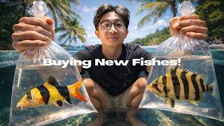 Download lagu Buying New Fish Gone Wrong (EPIC) | Rombak Ulang Megatank Part 4 mp3 Download lagu Buying New Fish Gone Wrong (EPIC) | Rombak Ulang Megatank Part 4 mp3