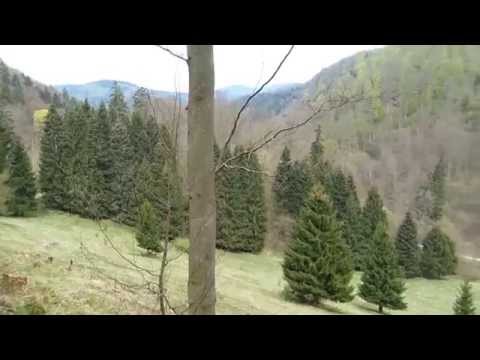 Stempelstelle 164 Stiefmutter - Harzer Wandernadel