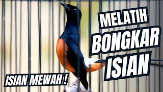 Download lagu MURAI BATU GACOR FULL ISIAN TEMBAKAN MEWAH SANGAT AMPUH UNTUK MELATIH MURAI BATU BONGKAR ISIAN mp3 Download lagu MURAI BATU GACOR FULL ISIAN TEMBAKAN MEWAH SANGAT AMPUH UNTUK MELATIH MURAI BATU BONGKAR ISIAN mp3