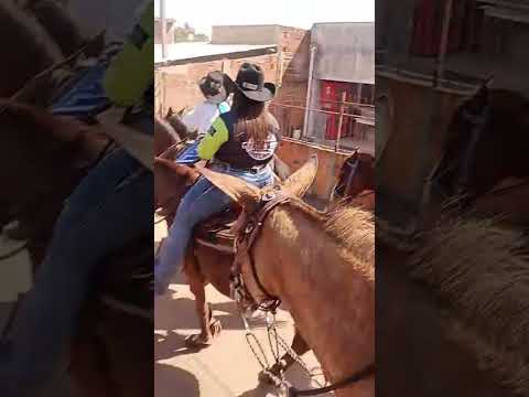 CAVALGADA NA CIDADE DE JÚLIO MESQUITA, SÃO PAULO #SHORTS