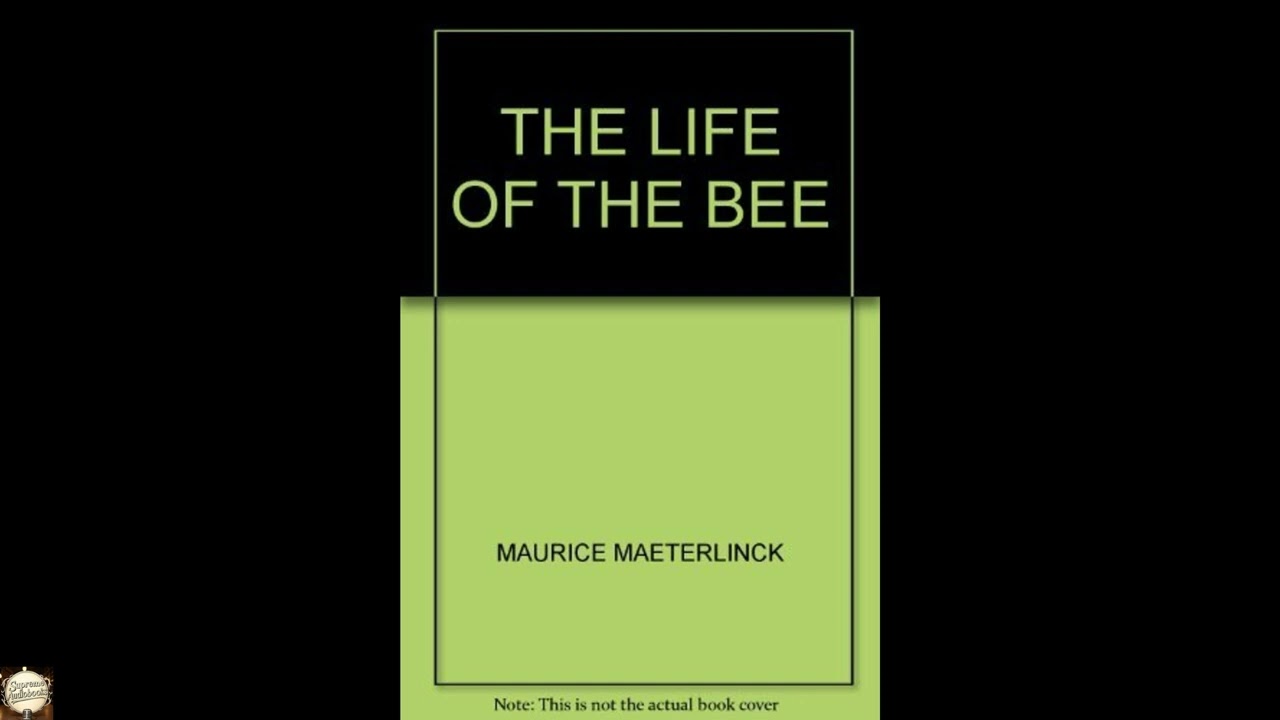 The life of the bee
