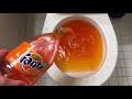 Will It Flush Fanta Orange Soda