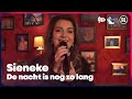 Sieneke - De nacht is nog zo lang (LIVE) | Sterren NL Radio
