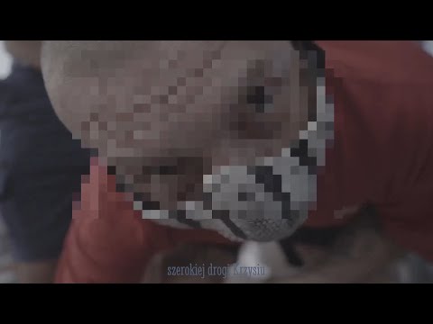 MŁODY ZGRED/PIKERS - ALMANAC