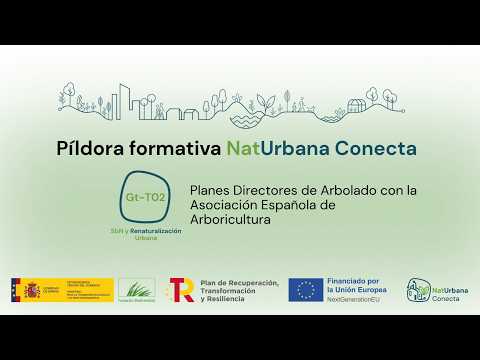 Planes Directores de Arbolado con la Asociación Española de Arboricultura