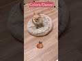 24 (13/365)Colors/Dance - George Winston -