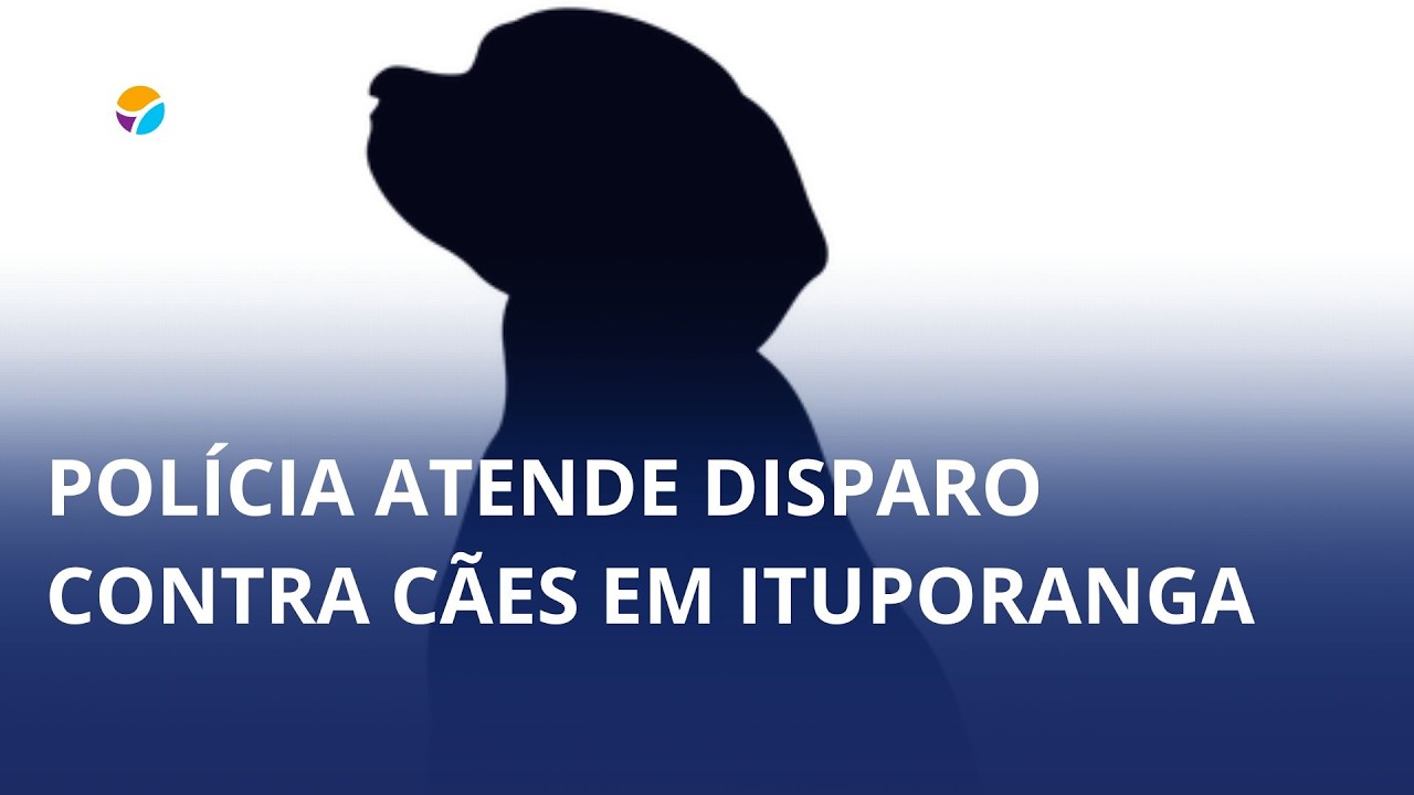 Crueldade: cães são baleados em Ituporanga
