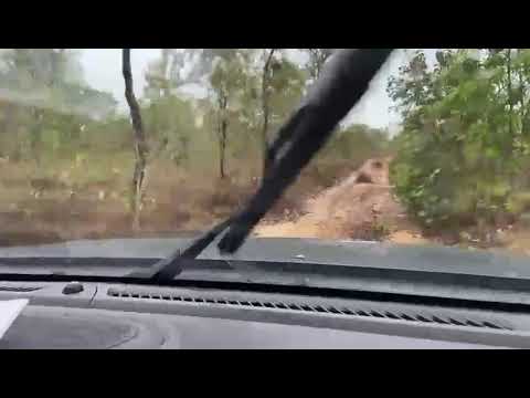 Excelente oportunidade Fazenda dupla aptidão Lizarda- Tocantins 