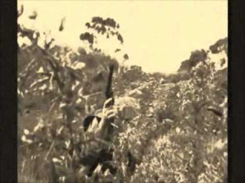 ROADKILL (Australia) - Cocksuckers
