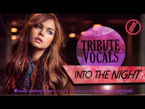 DNZ221 // TRIBUTE VOCALS - INTO THE NIGHT (Official Video DNZ RECORDS)