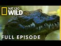 Croc Coast Full Episode Florida Untamed