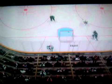 NHL 11 - Antti Niemi Goal During Delayed Penalty