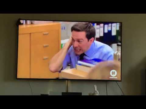 Dwight shot a gun in the Office room