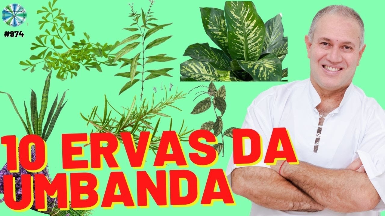 As 10 Ervas mais usadas na Umbanda! | Paulo Ludogero