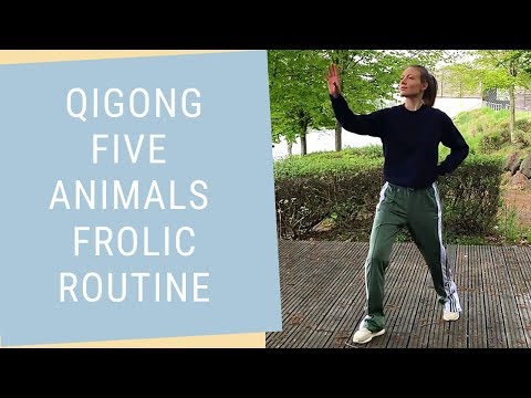 Qigong 5 Animals Frolic Routine - Daily Qigong Practice Beginner to Advanced