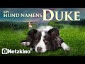 Duke FAMILY COMEDY MOVIE In Full Length Dog Films In German Comedy Films New
