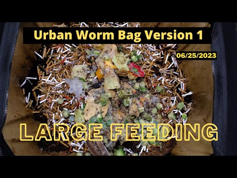 Urban Worm Bag Version 1 - Real Feeding Time 06/25/2023