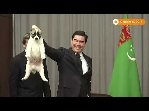 土庫曼斯坦豎起巨大的鍍金狗紀念碑 (Turkmenistan erects giant gilded dog monument)