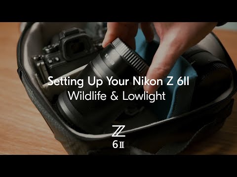 Nikon Z6 II Body video