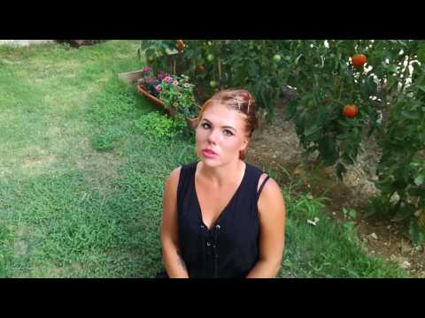 Announce: Big Tennis Trip