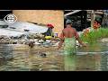 Why Tuvalu Is Vanishing Sea Level Rise Is Pushing A People Toward Exile Disaster Documentary