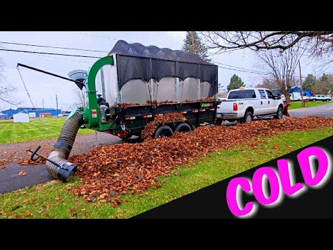 How To Do A Fall Clean Up Start To Finish [$165 IN UNDER AN ...