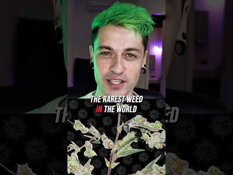 The rarest weed in the world!