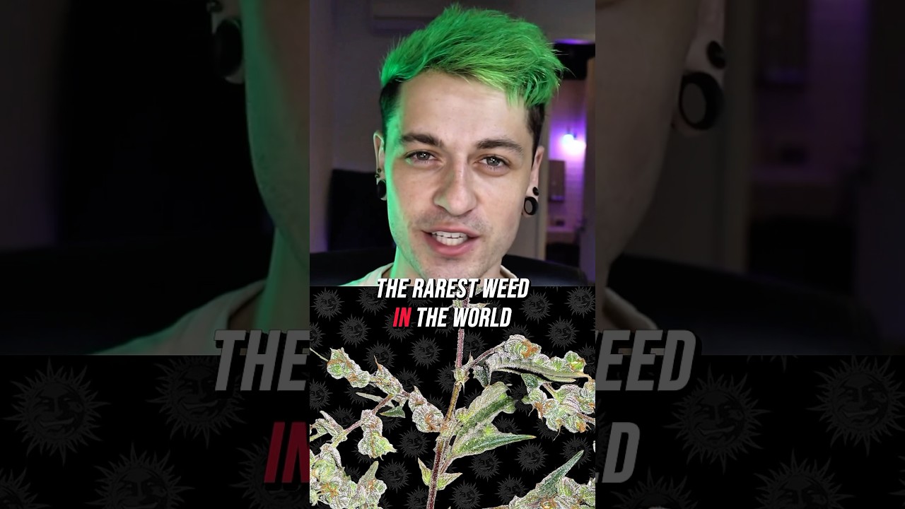 The rarest weed in the world!