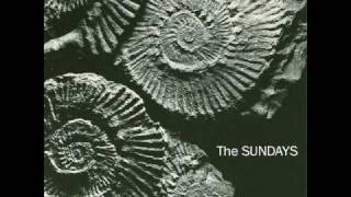 THE SUNDAYS-SKIN & BONES.wmv