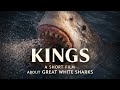 KINGS Great White Sharks An Underwater Short Film