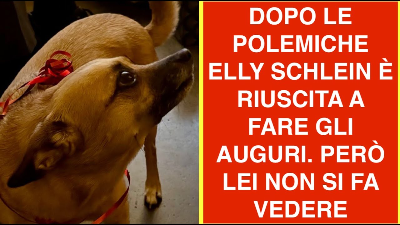 DOPO LE POLEMICHE ELLY SCHLEIN È RIUSCITA A FARE GLI AUGURI. PERÒ LEI NON SI FA VEDERE
