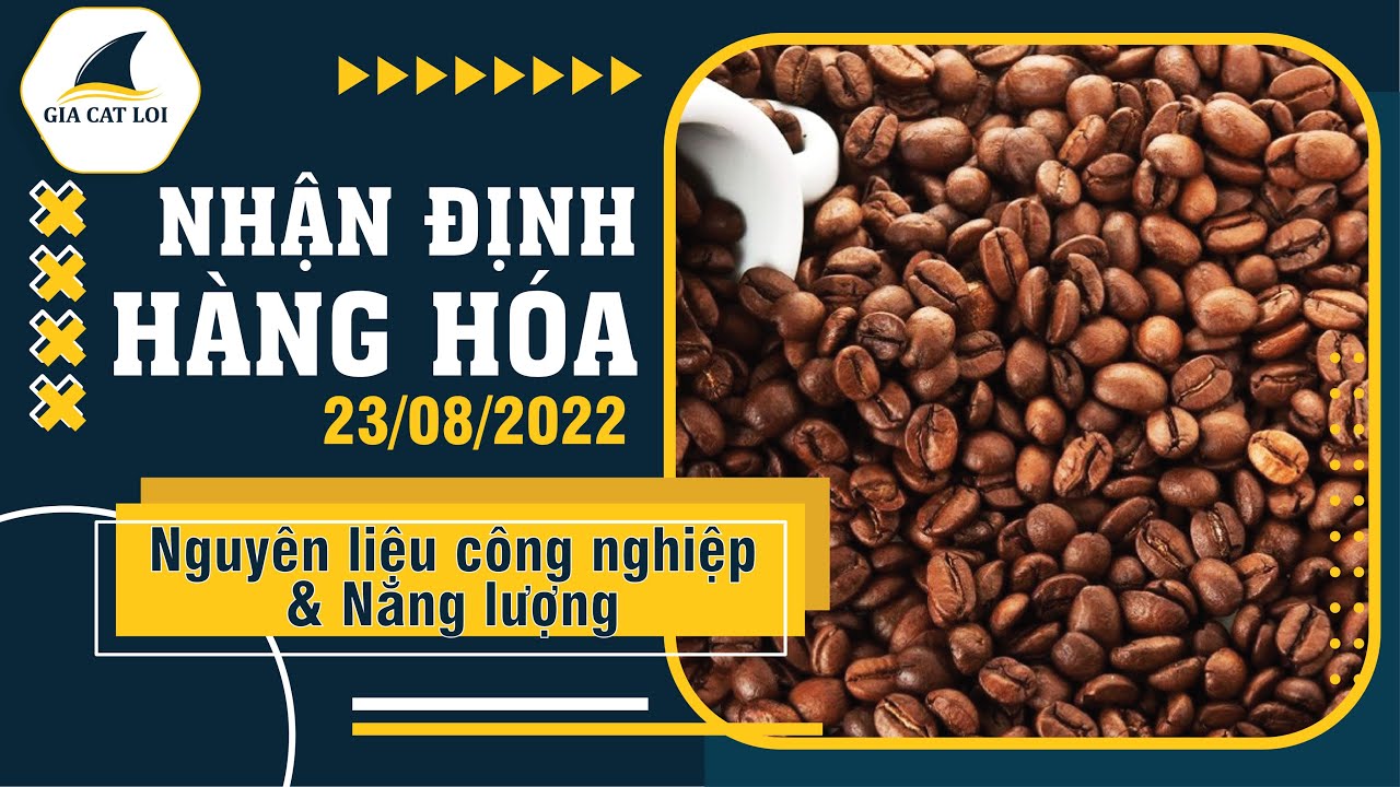Nhận Định Thị Trường Năng Lượng & Nguyên Liệu Công Nghiệp Ngày 23/08/2022