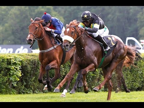 Berlin-Hoppegarten: Preis vom Stienitzsee (D) - Siegerin: New World