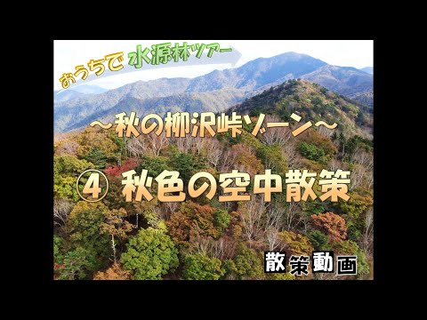 【おうちで水源林ツアー】 ～秋の柳沢峠ゾーン～ ④秋色の空中散策