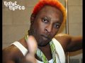 Elephant Man - Bun It Down