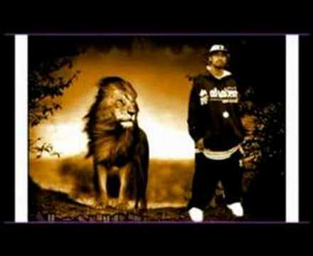 Al-Alion & Sekil 2008