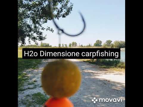 h2o dimensione carpfishing